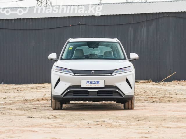 BYD Yuan Up 45.12 kWh Electro AT