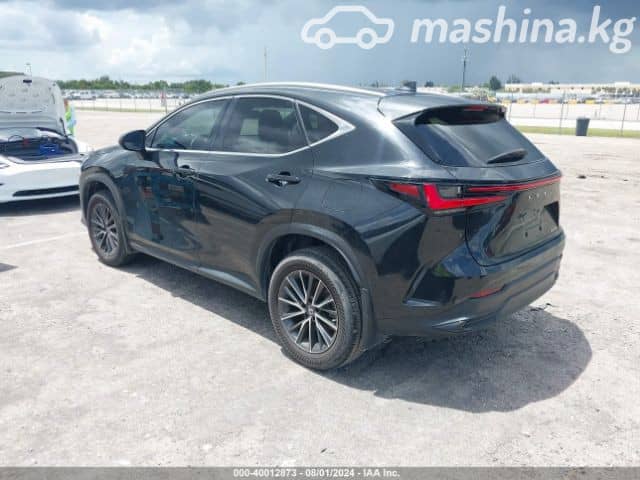 Lexus NX II 250 2.5 AT 4WD