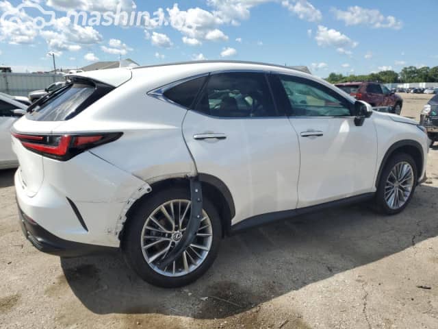 Lexus NX II 350h 2.5hyb AT 4WD