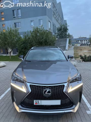 Lexus NX I Рестайлинг 300 2.0 AT 4WD