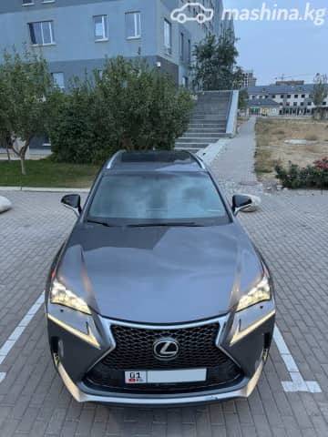 Lexus NX I Рестайлинг 300 2.0 AT 4WD