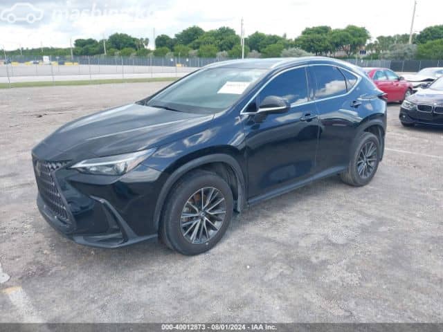 Lexus NX II 250 2.5 AT 4WD