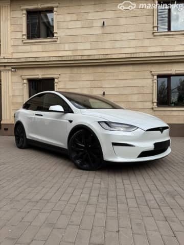 Tesla Model X I Рестайлинг Plaid Electro AT 4WD