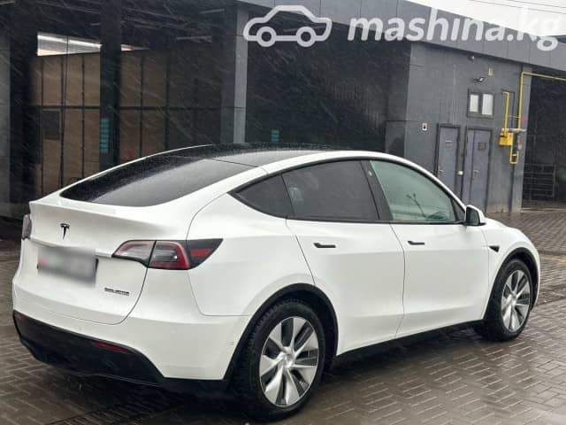 Tesla Model Y I Long Range Electro AT 4WD