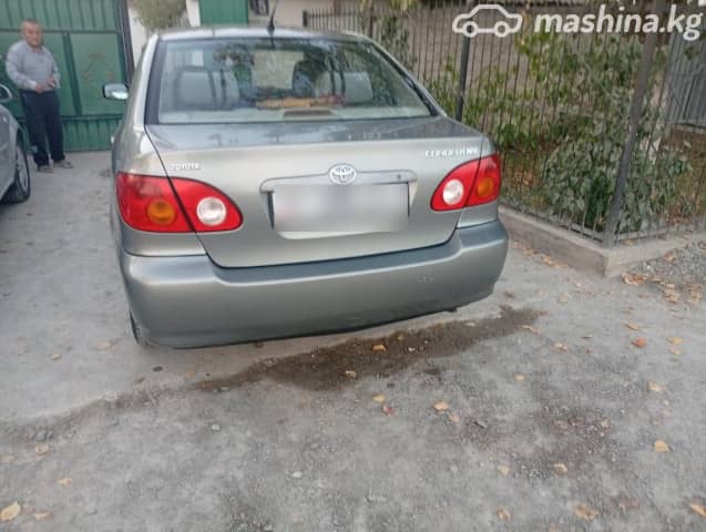 Toyota Corolla IX (E120, E130) 1.8 AT