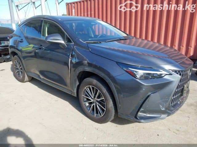 Lexus NX II 250 2.5 AT