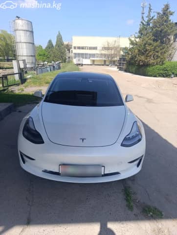 Tesla Model 3 I Long Range Electro AT 4WD