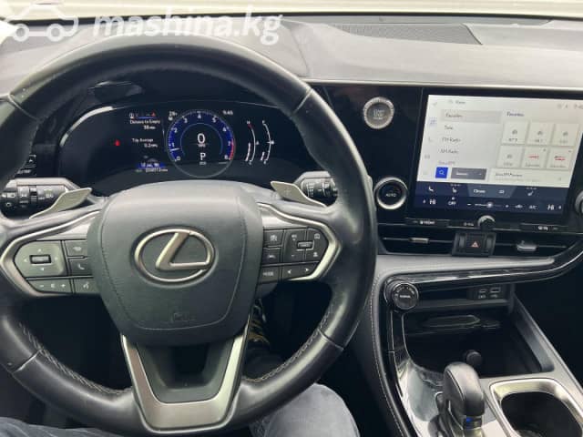 Lexus NX II 250 2.5 AT