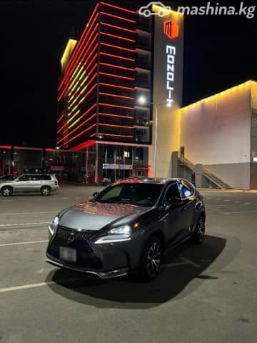 Lexus NX I Рестайлинг 300 2.0 AT