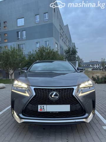 Lexus NX I Рестайлинг 300 2.0 AT 4WD
