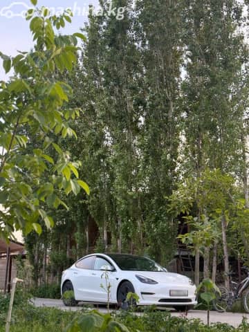 Tesla Model 3 I Performance Electro AT 4WD
