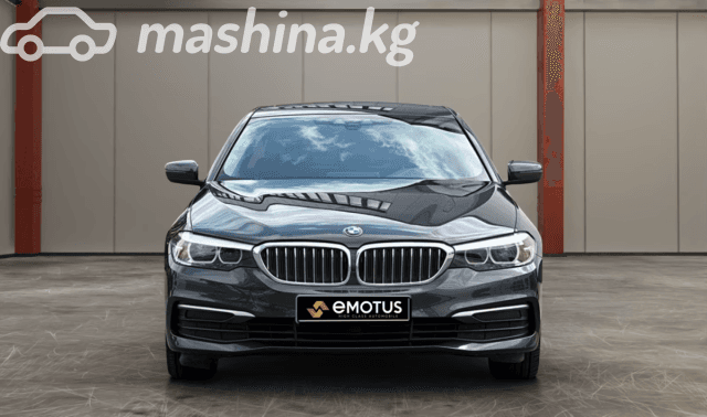 BMW 5 серии VII (G30/G31) 530i 2.0 AT