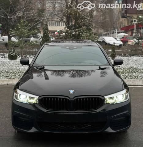BMW 5 серии VII (G30/G31) 530i xDrive 2.0 AT 4WD