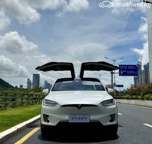 Tesla Model X I 75D Electro AT 4WD