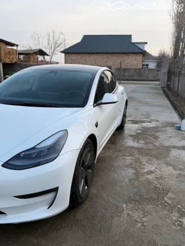 Tesla Model 3 I Performance Electro AT 4WD