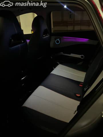 BYD Yuan Plus Extended Range Electro AT