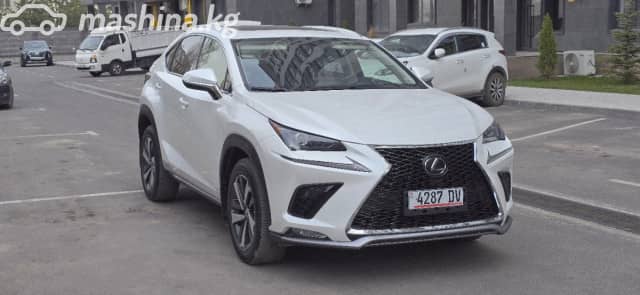 Lexus NX I Рестайлинг 300 2.0 AT