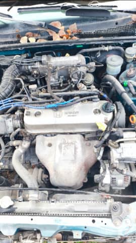 Honda Accord IV 2.2 MT