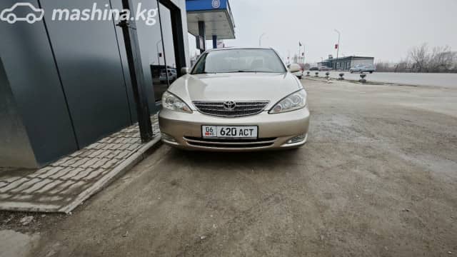 Toyota Camry V (XV30) 2.4 AT