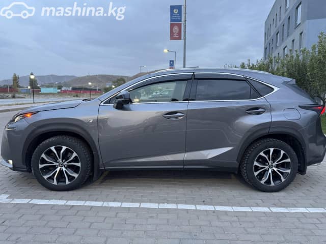 Lexus NX I Рестайлинг 300 2.0 AT 4WD