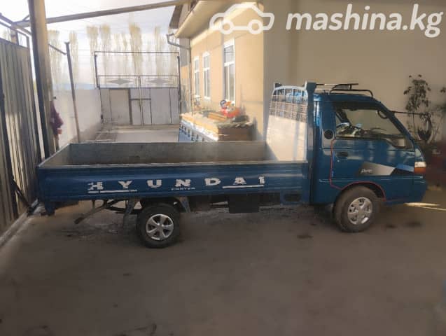 Hyundai New Power Truck