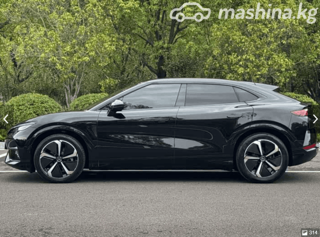BYD Song L Electro AT 4WD