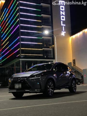 Lexus NX I Рестайлинг 300 2.0 AT