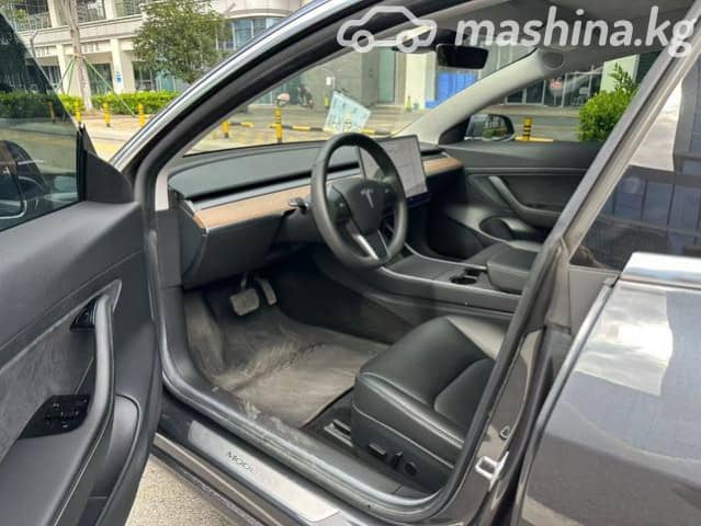 Tesla Model 3 I Standart Electro AT