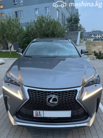 Lexus NX I Рестайлинг 300 2.0 AT 4WD