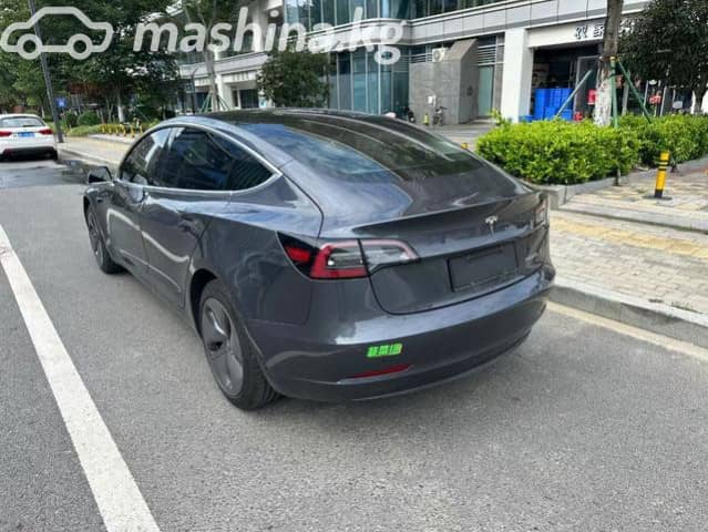 Tesla Model 3 I Standart Electro AT