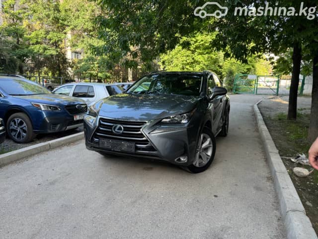 Lexus NX I 300h 2.5hyb CVT 4WD