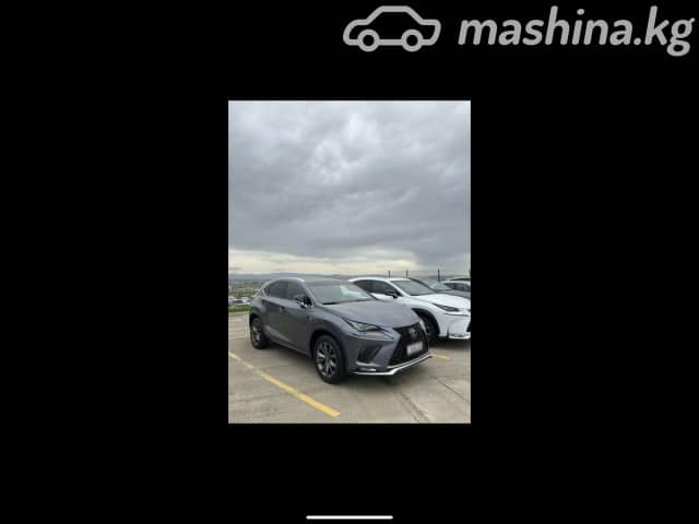 Lexus NX I Рестайлинг 300 2.0 AT 4WD