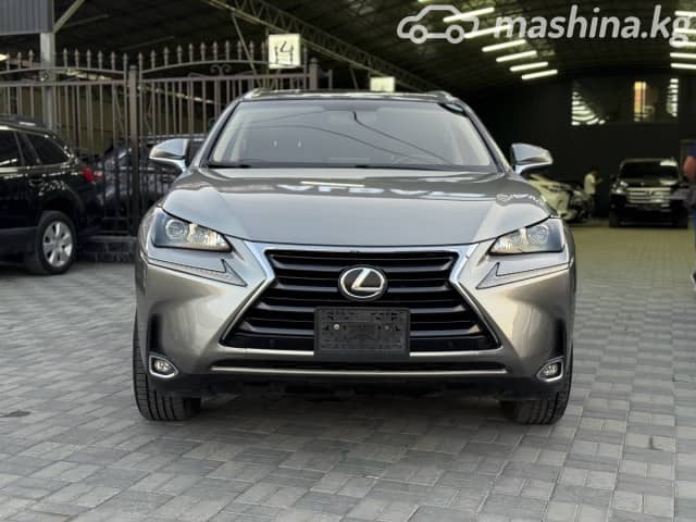 Lexus NX I Рестайлинг 300 2.0 AT