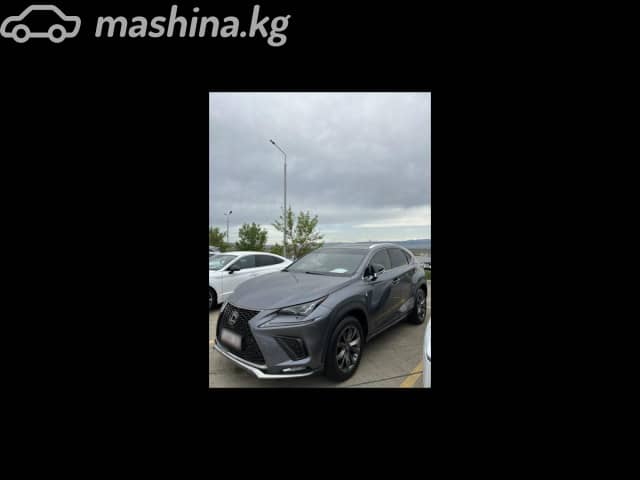 Lexus NX I Рестайлинг 300 2.0 AT 4WD