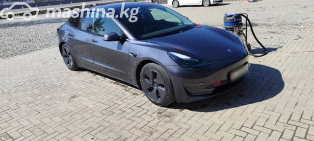 Tesla Model 3 I Standart Plus Electro AT