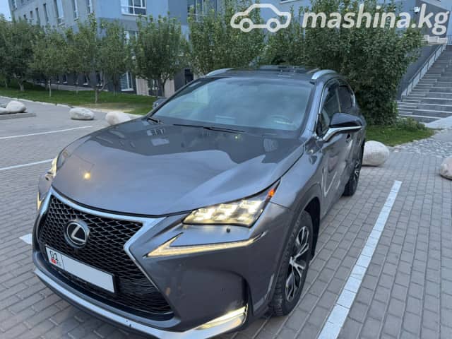 Lexus NX I Рестайлинг 300 2.0 AT 4WD