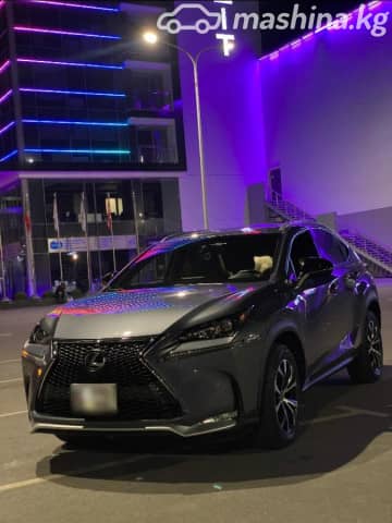 Lexus NX I Рестайлинг 300 2.0 AT