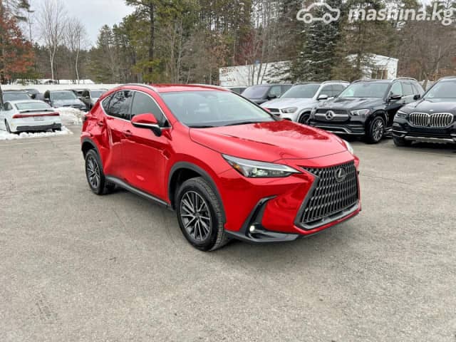 Lexus NX II 250 2.5 AT