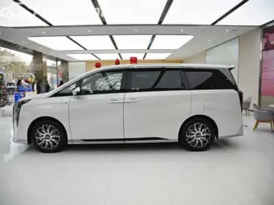 GAC Trumpchi E9 2.0hyb AT